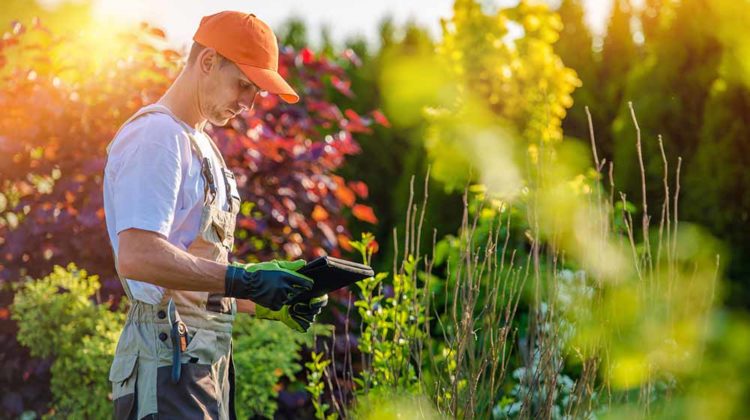 Landscaping Estimating Services